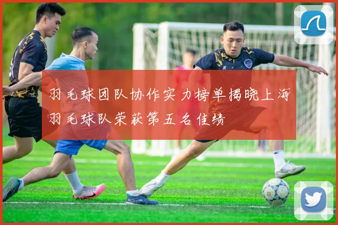 羽毛球团队协作实力榜单揭晓上海羽毛球队荣获第五名佳绩
