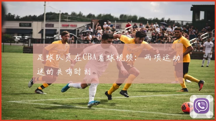足球队员在CBA看球视频：两项运动迷的共鸣时刻