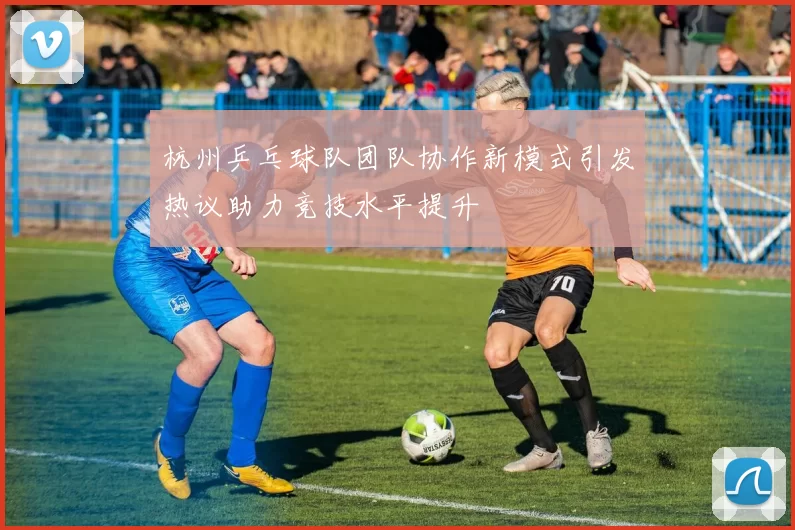 杭州乒乓球队团队协作新模式引发热议助力竞技水平提升