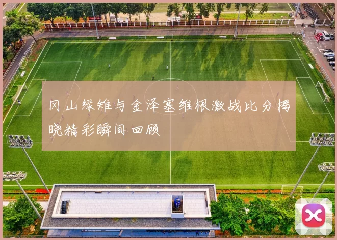 冈山绿雉与金泽塞维根激战比分揭晓精彩瞬间回顾
