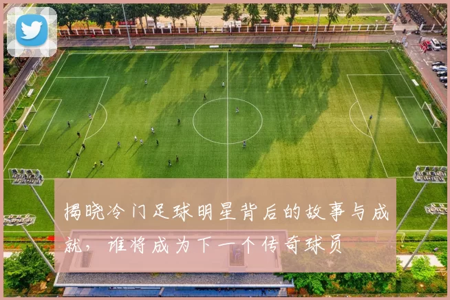 揭晓冷门足球明星背后的故事与成就，谁将成为下一个传奇球员