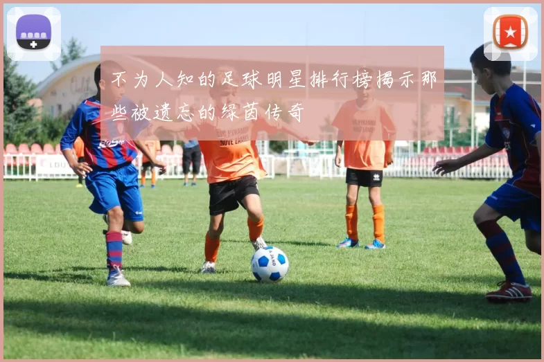 不为人知的足球明星排行榜揭示那些被遗忘的绿茵传奇