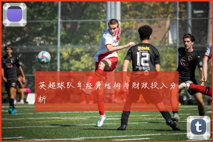 英超球队年经费结构与财政投入分析