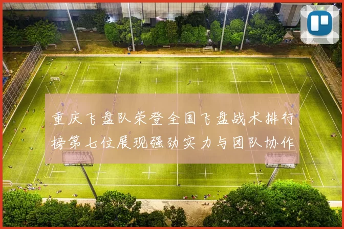 重庆飞盘队荣登全国飞盘战术排行榜第七位展现强劲实力与团队协作