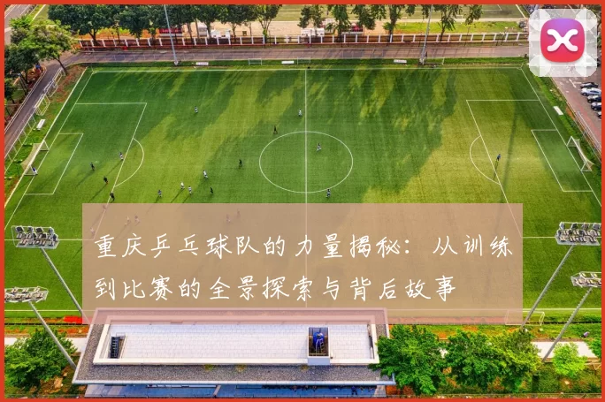 重庆乒乓球队的力量揭秘：从训练到比赛的全景探索与背后故事