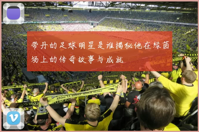 带丹的足球明星是谁揭秘他在绿茵场上的传奇故事与成就